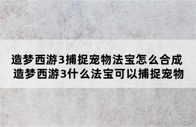 造梦西游3捕捉宠物法宝怎么合成 造梦西游3什么法宝可以捕捉宠物